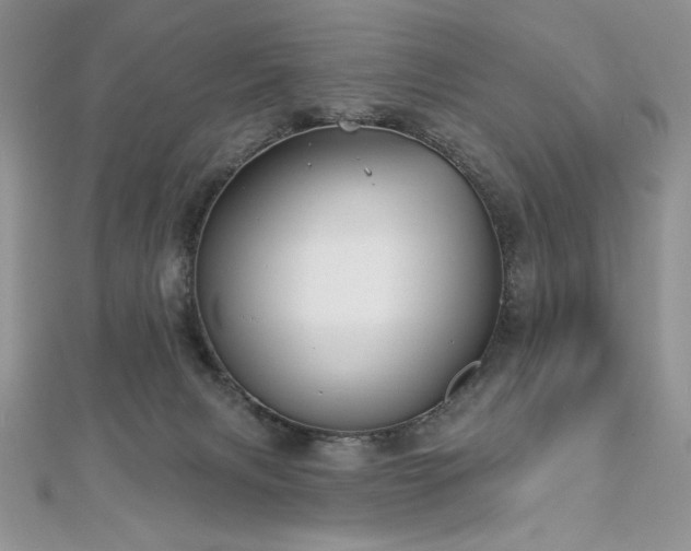 X0000113160079200909041304