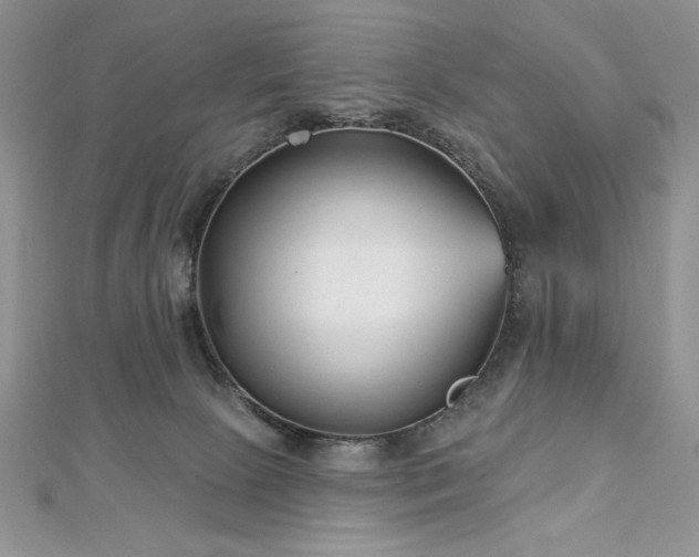 X0000113160081200909041304