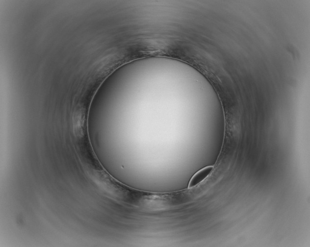 X0000113160082200909041304