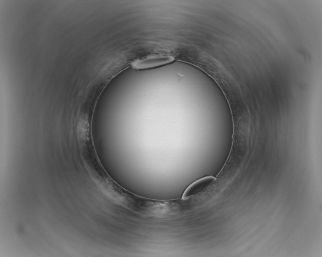 X0000113160083200909041304