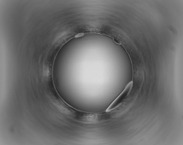 X0000113160084200909041304