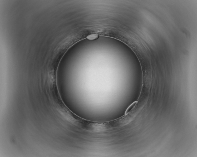 X0000113160085200909041304