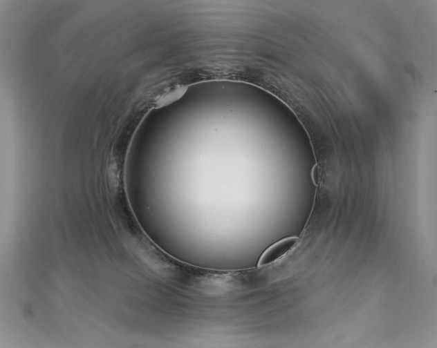 X0000113160086200909041304