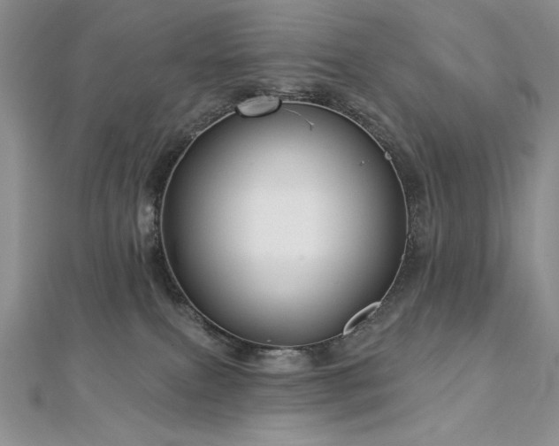 X0000113160087200909041304