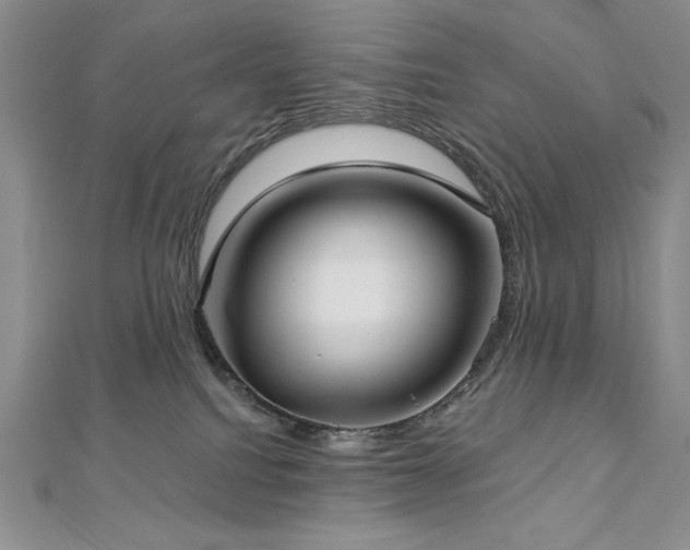 X0000113160088200909041304