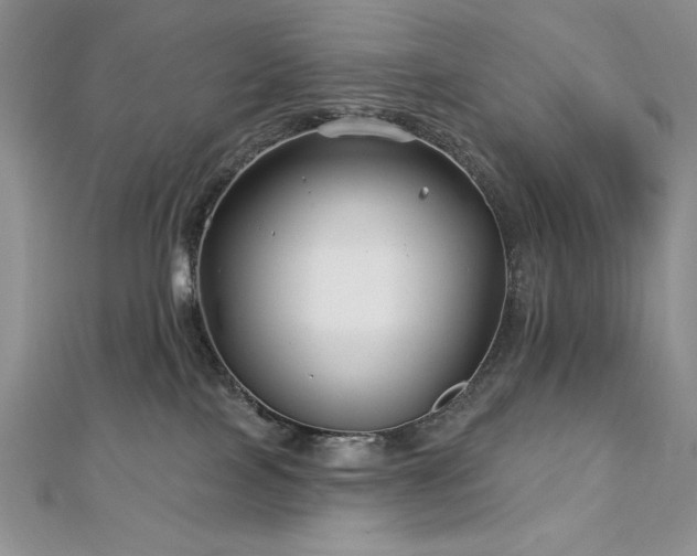 X0000113160089200909041304