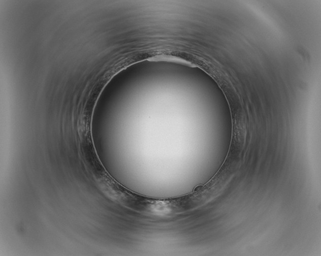 X0000113160091200909041304