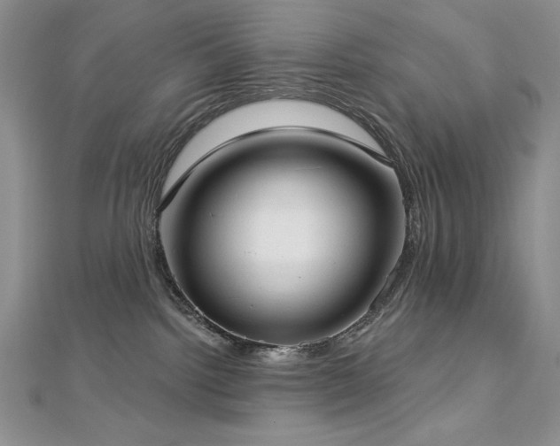 X0000113160092200909041304