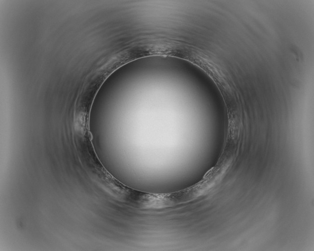 X0000113160093200909041304