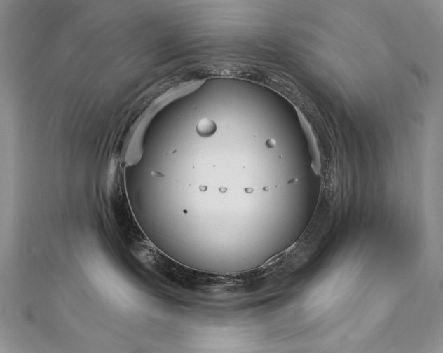 X0000113160095200909041304