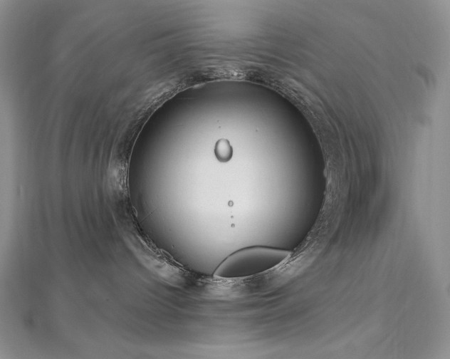 X0000113160096200909041304