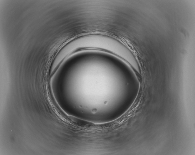 X0000113160097200909041304