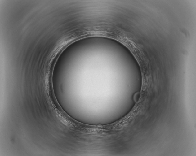 X0000113160098200909041304