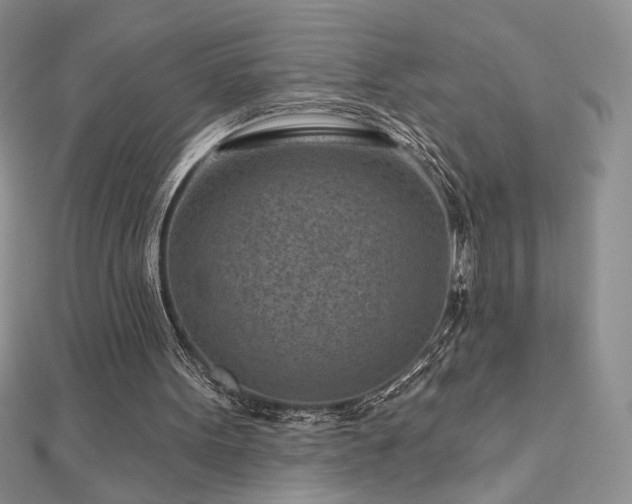 X0000113160099200909041304