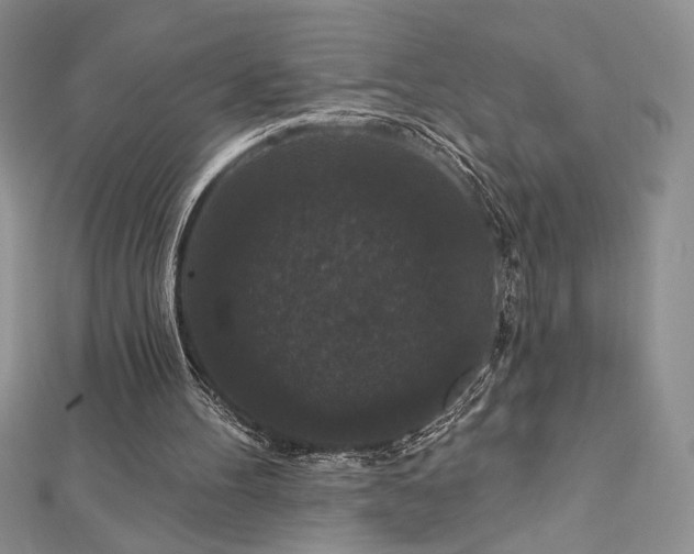 X0000113160100200909041304