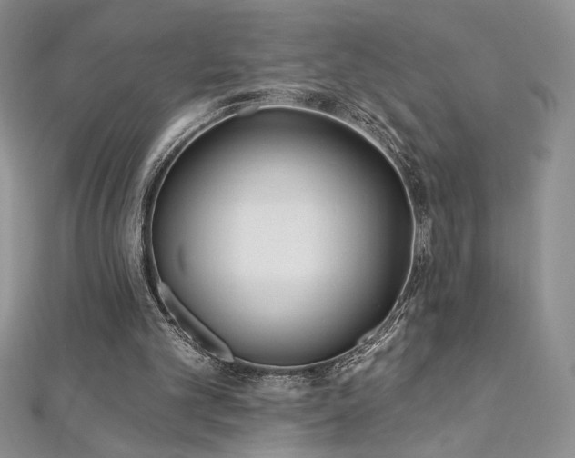 X0000113160101200909041303