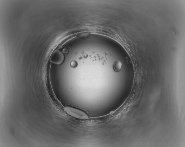 X0000113160103200909041303