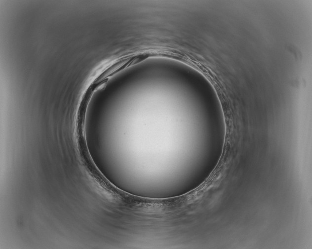 X0000113160104200909041303