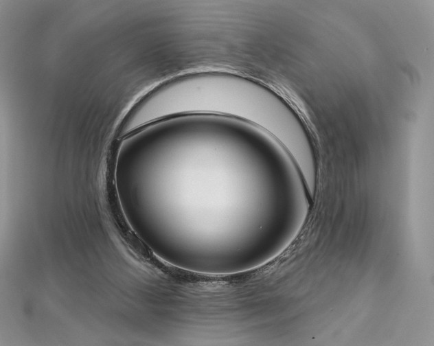 X0000113160108200909041303