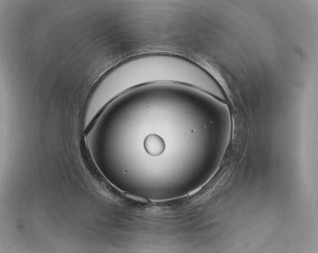 X0000113160109200909041303