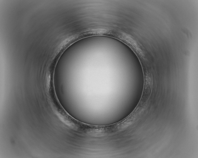 X0000113160110200909041303