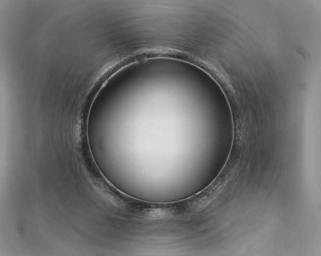 X0000113160111200909041303