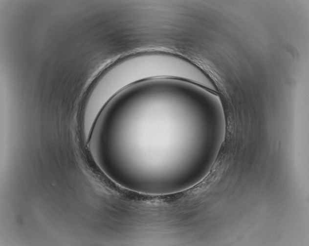 X0000113160112200909041303