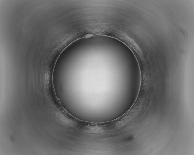 X0000113160113200909041303