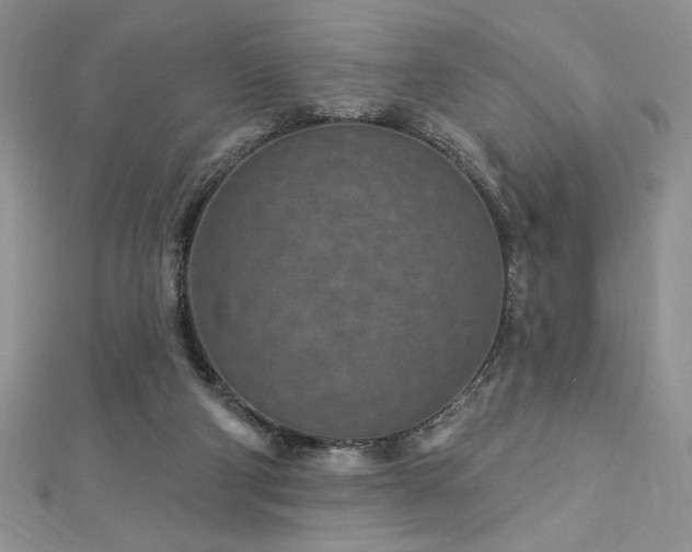 X0000113160114200909041303