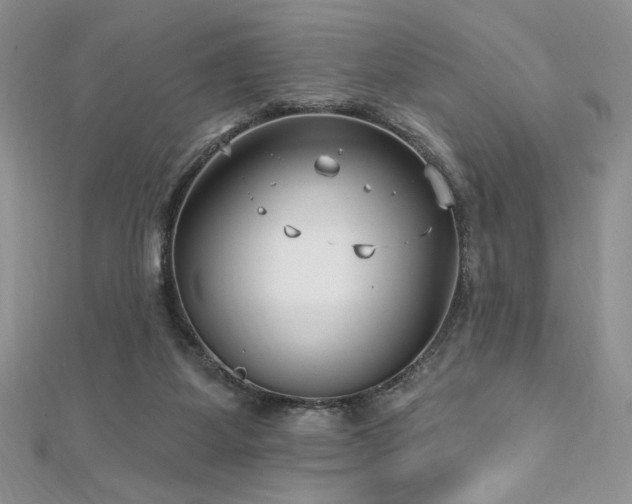 X0000113160115200909041303