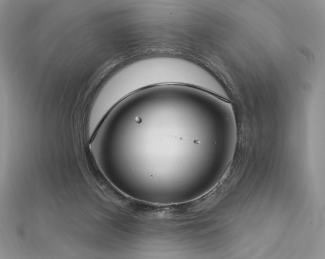 X0000113160116200909041303