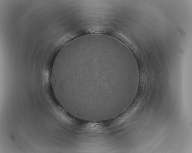 X0000113160117200909041303