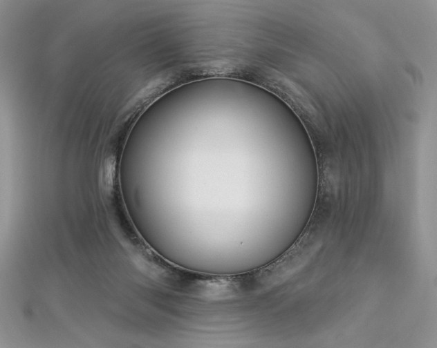 X0000113160118200909041303