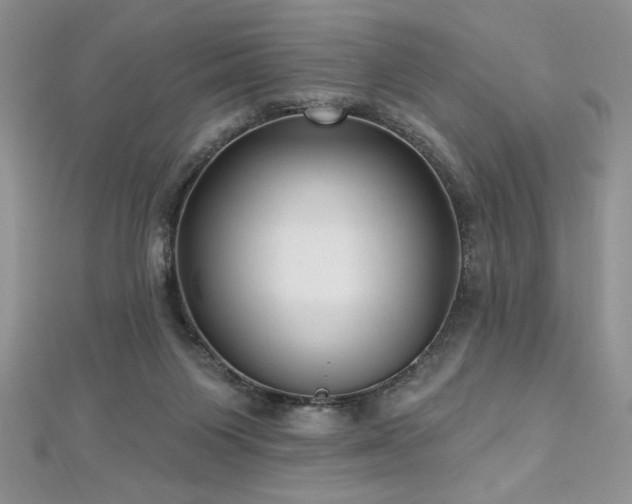 X0000113160119200909041303