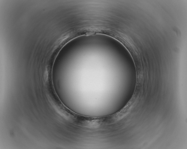 X0000113160120200909041303