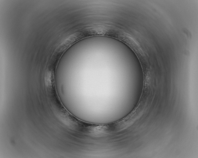 X0000113160122200909041303