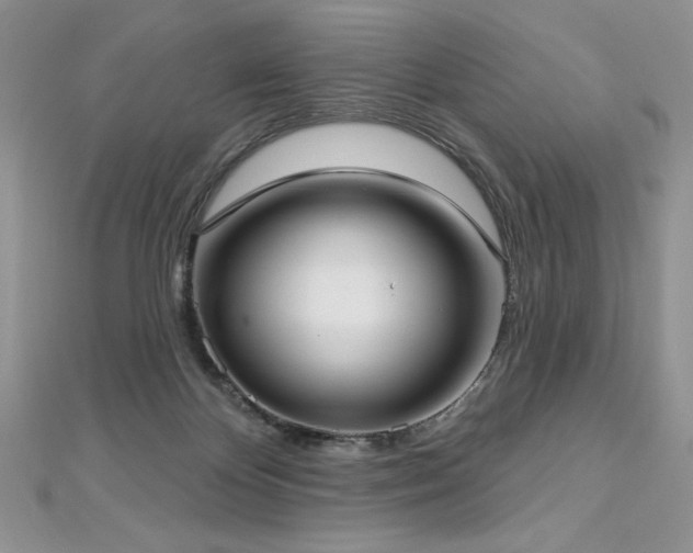 X0000113160124200909041303