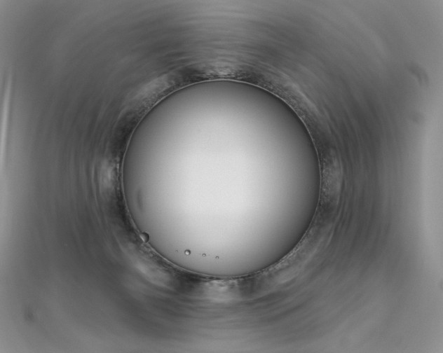 X0000113160126200909041303