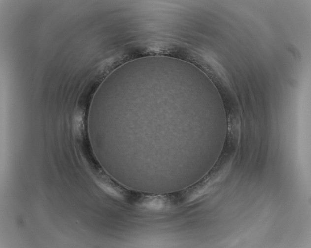 X0000113160127200909041303