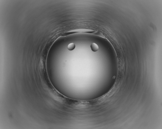 X0000113160128200909041303