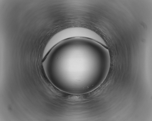 X0000113160129200909041303