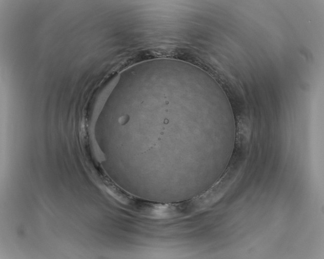 X0000113160130200909041303