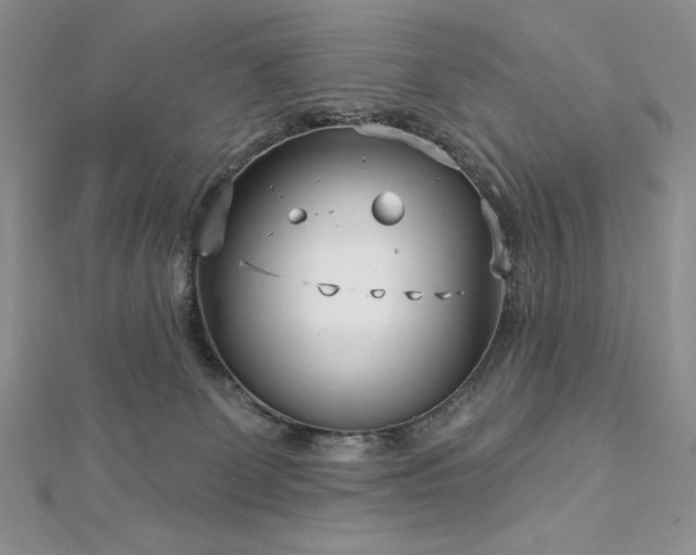 X0000113160131200909041303