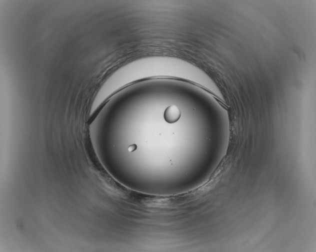 X0000113160132200909041303