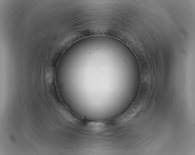 X0000113160133200909041303