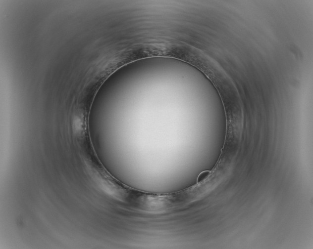 X0000113160134200909041303