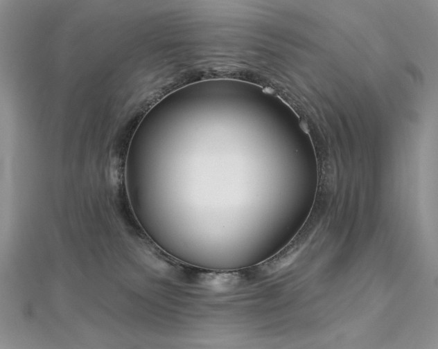 X0000113160135200909041303