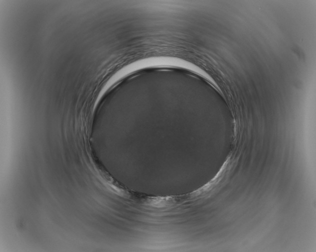 X0000113160136200909041303