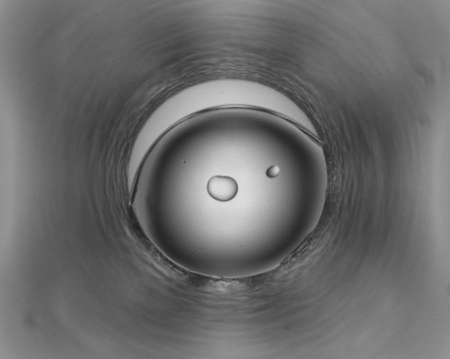 X0000113160137200909041303