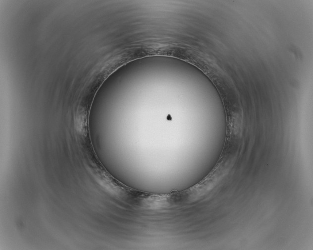 X0000113160138200909041303